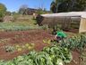 Casa Familiar Rural organiza projeto de doação de alimentos à comunidade