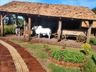 Inaugurado Centro Histórico Germânico de Itapiranga