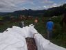 Município auxilia na recolha e descarte adequado de animais mortos em tombamento de caminhão