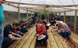 Projeto sobre o cultivo de alface é apresentado em propriedade rural de Mondaí