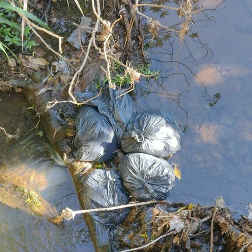 Moradora flagra descarte irregular de lixo em São Miguel do Oeste