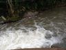 Poluição em rio pode causar falta de água em São João do Oeste