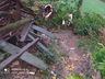 Fotos: Chuva e vento causam danos elevados em Santa Helena 