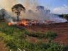 Incêndio atinge área de descarte de galhos no interior de Cunha Porã