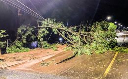 VÍDEO: Temporal com granizo causa estragos em São Miguel do Oeste