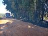 Incêndio florestal mobiliza bombeiros por uma hora