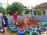 BRINCADEIRA RAIZ: crianças exploram a natureza em creche de SC