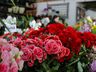 Central Flor, Floricultura e Paisagismo comemora 1 ano em São Miguel do Oeste