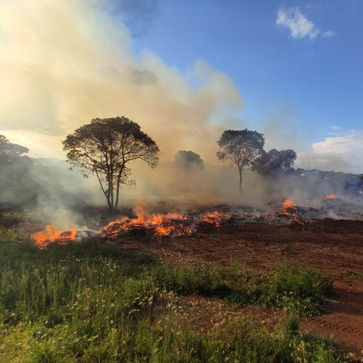 Incêndio atinge área de descarte de galhos no interior de Cunha Porã