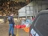 Mais de 1,4 tonelada de drogas é incinerada em Chapecó e Maravilha