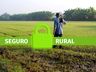 Produtores devem estar atentos às regras para solicitar o seguro agrícola 