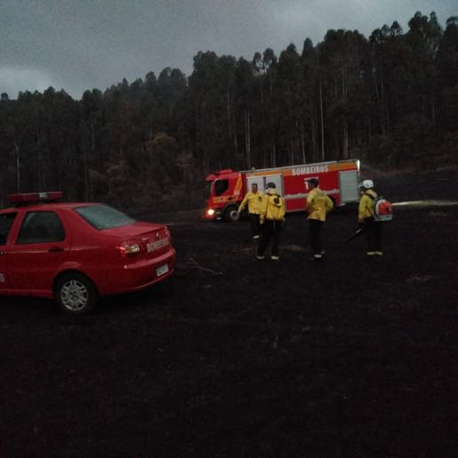 Bombeiros trabalham por três horas e meia em incêndio florestal 