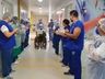 Brasil já registra mais de 153 mil pessoas recuperadas do novo coronavírus