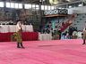 Festival Fronteira Oeste de Danças Gaúchas celebra cultura em Itapiranga