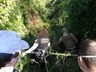 Homem que estava desaparecido em SJCedro é encontrado morto