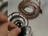 Cobra acorda homem ao fazer barulho dentro de casa em SC