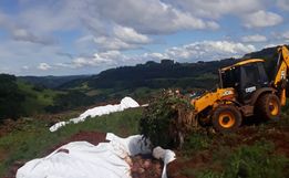 Município auxilia na recolha e descarte adequado de animais mortos em tombamento de caminhão