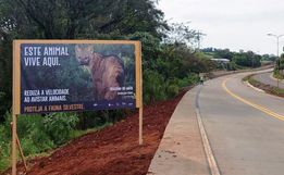 DNIT lança campanha de proteção à fauna na BR-163