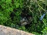 Identificada vítima de grave acidente na BR-282 entre SMO e Maravilha