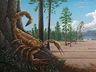 Fóssil de escorpião que viveu antes dos dinossauros é encontrado em Canoinhas