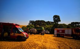 Incêndio em lavoura de trigo atinge seis mil metros quadrados