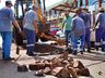 Município reassume serviço de tapa-buraco nas ruas de São Miguel