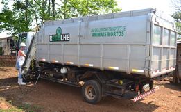 Projeto de recolha de carcaças de animais segue sem previsão de retomada