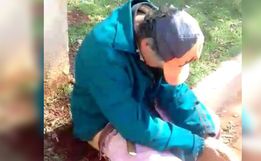 Homem senta em formigueiro em troca de pinga no Paraná
