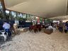 Mais de 100 expositores movimentam a Expo Campo Erê 2025