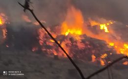 Bombeiros combatem incêndio em área de reflorestamento por 14 horas