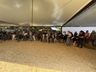 Julgamento do gado leiteiro e rodada de negócios movimentam o sábado na Expo Campo Erê