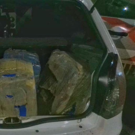223 quilos de maconha são apreendidos pela Polícia Militar