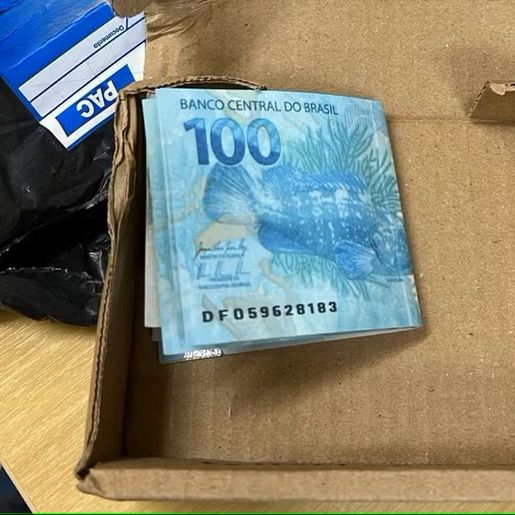 SC retira 4,8 mil notas falsas de circulação em 2025