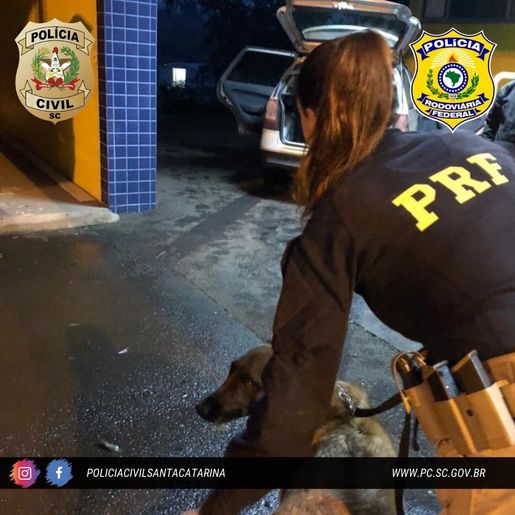 PRF e Polícia Civil prendem homem e apreendem mais de 44 kg de cocaína na região 