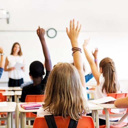 Anchieta e São José do Cedro são destaques nacionais no ensino fundamental