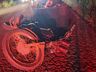 Motociclista morre após colidir contra cavalo em São José do Cedro