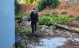 Polícia Civil realiza operação contra tráfico de drogas em Maravilha