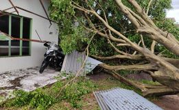 Fotos: Chuva e vento causam danos elevados em Santa Helena 