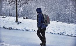 Pesquisa revela que células cancerígenas se replicam mais no calor