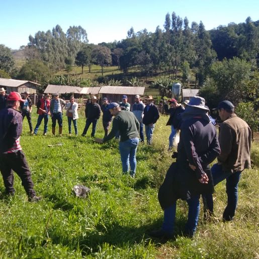 35 produtores participam do primeiro curso de gado de corte em Anchieta