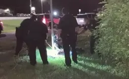 Homem confunde jacaré com cão e acaba mordido