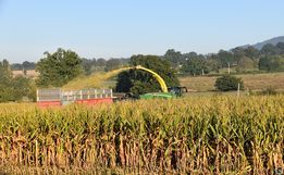 Secretaria de Agricultura intensifica serviços para confecção de silagem