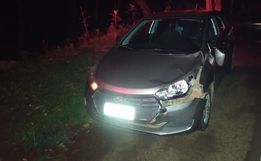 Polícia Militar registra acidente de trânsito com atropelamento de animal