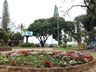 Em Iporã do Oeste, plantio de flores traz novo aspecto visual para a cidade