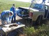 Macaco é encontrado morto; suspeita de febre amarela é investigada