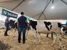 Avaliação de bezerras e novilhas é realizada na 11ª Efrait de Itapiranga