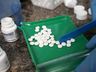 Vereadores pedem ponto de referência para prescrição do tratamento precoce contra COVID