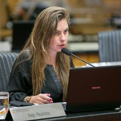 Multa para quem divulgar fake news em SC avança na Alesc