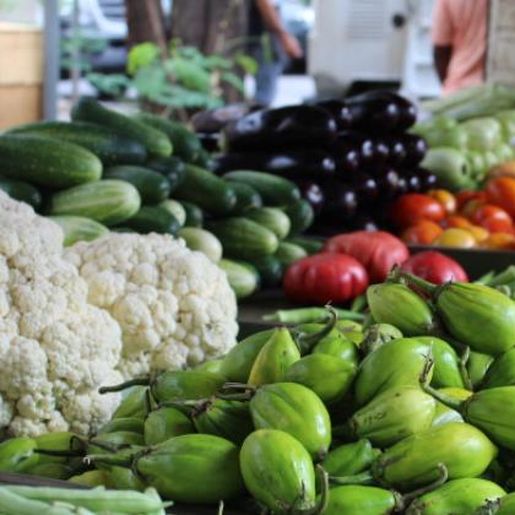 Secretaria de Agricultura inicia planejamento para realizar Feira Livre