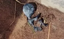 Moradores avistam supostos ‘bebês alienígenas’ correndo pelas ruas após pouso de OVNI